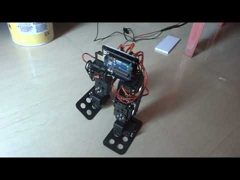 Walking biped robot project